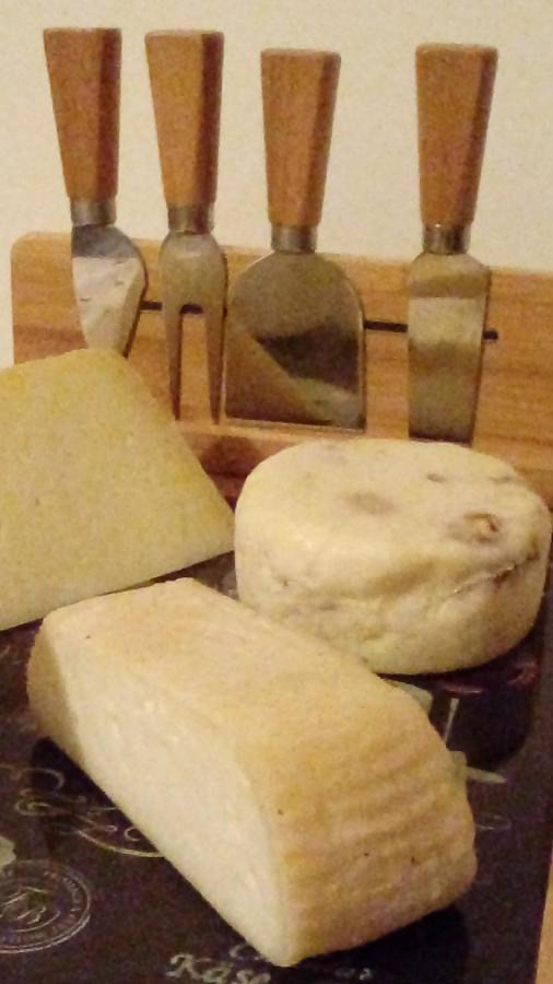 B&B Appia Felis Roma Eksteriør bilde